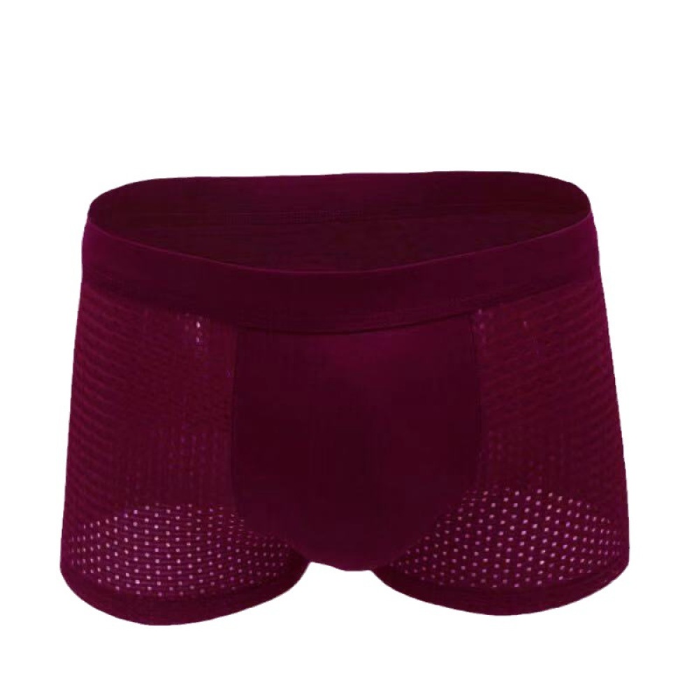 Trunks Herenondergoed Ice Silk - Mesh Sport Boxer recensie en prijs